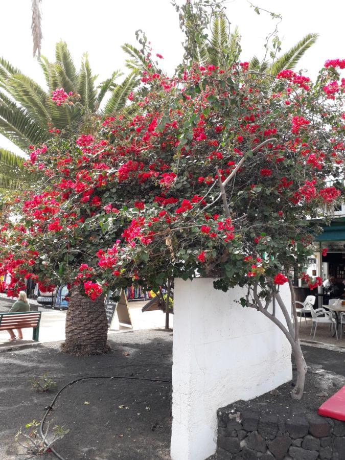 Sunny Self-Catering Apartment Costa Teguise, Lanzarote, Spain 外观 照片